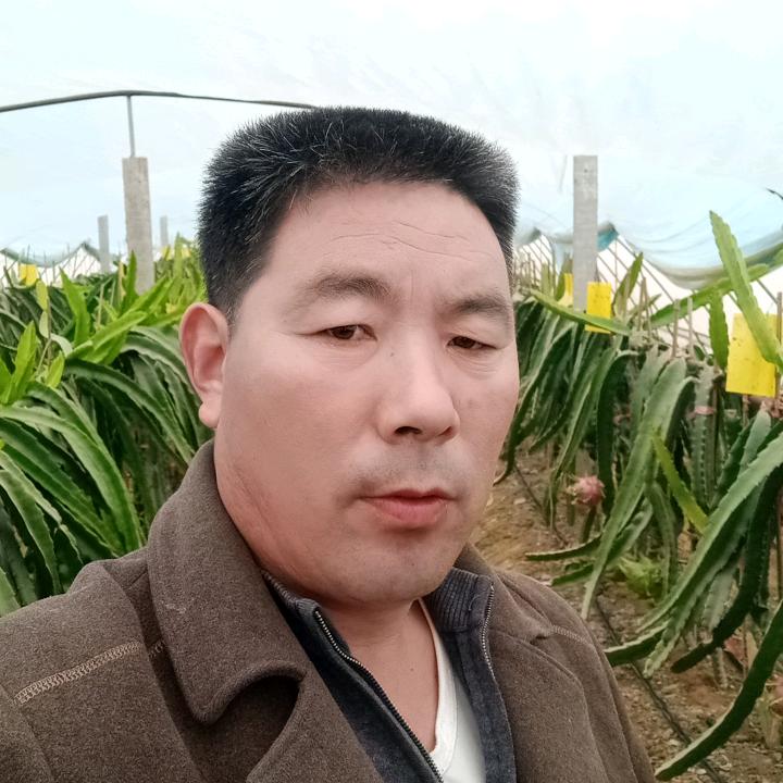 太康县坤鹏火龙果葡萄采摘