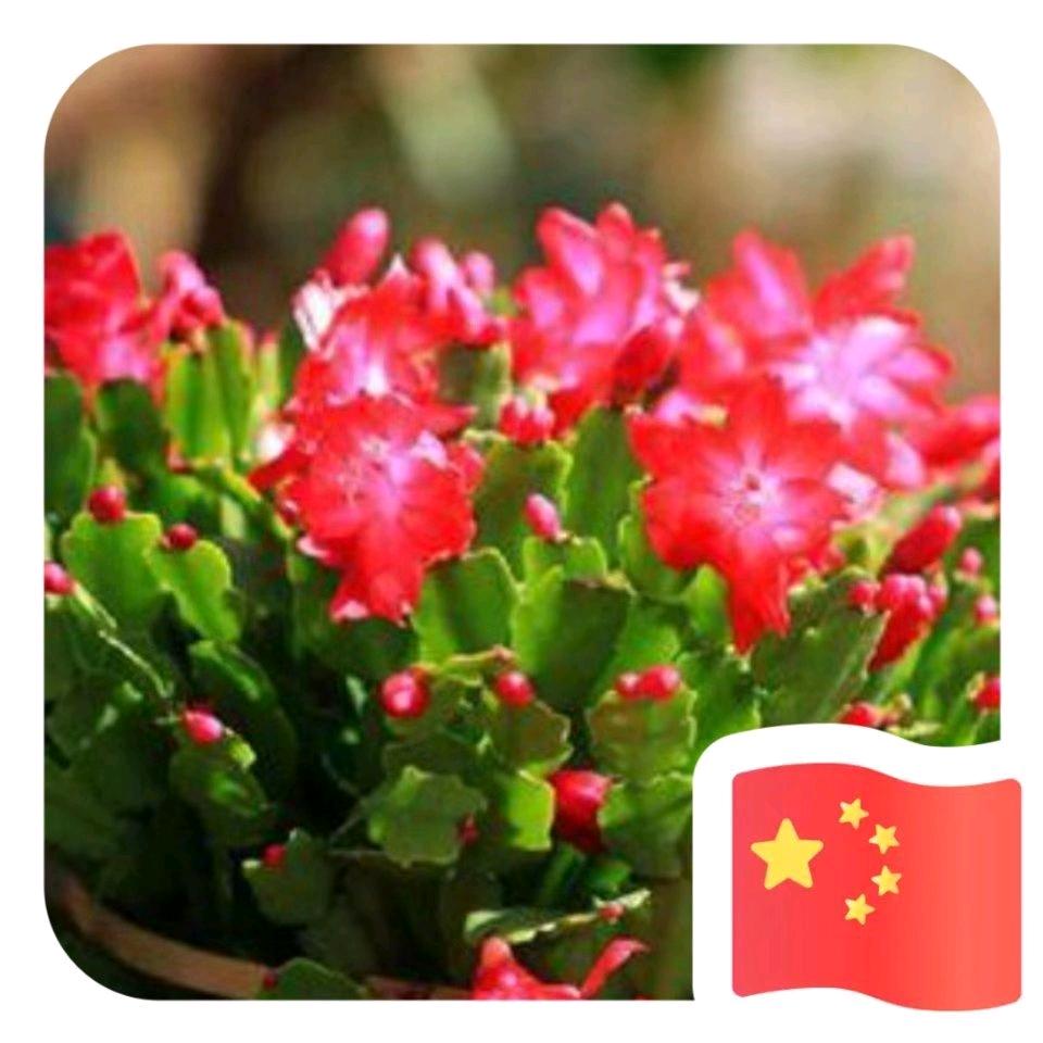 老院子烧烤酒吧