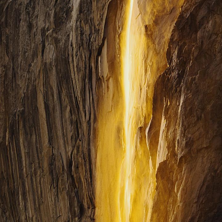 Tom☆.☆             ་