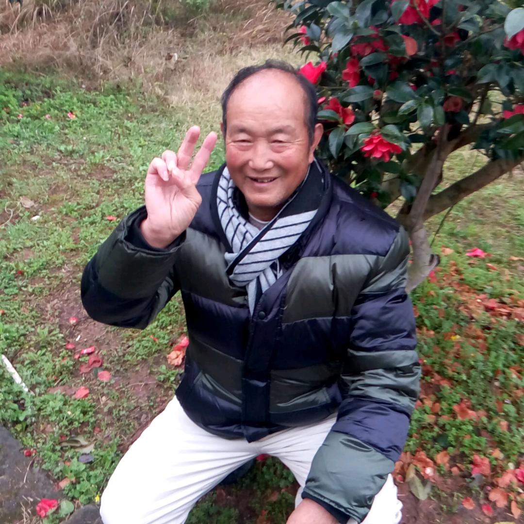 吴家草根