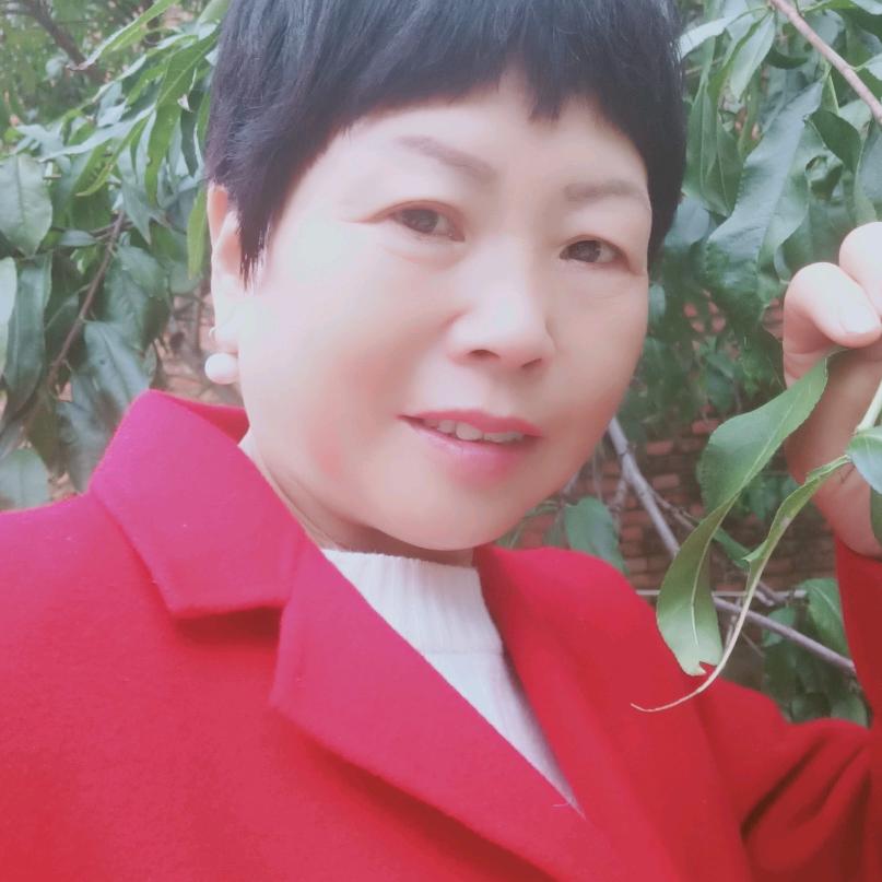 朱大姐晚上7点半直播