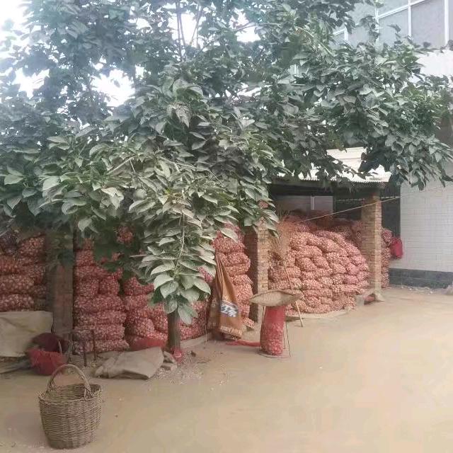 百味人生