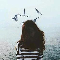 海森—过滤器密封条制造商