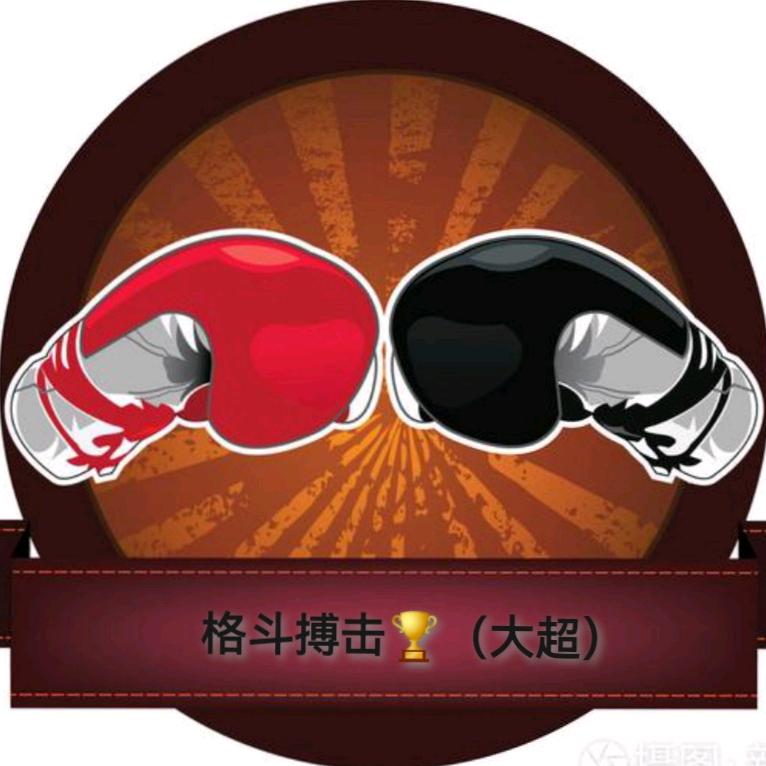 格斗搏击🏆（大超）