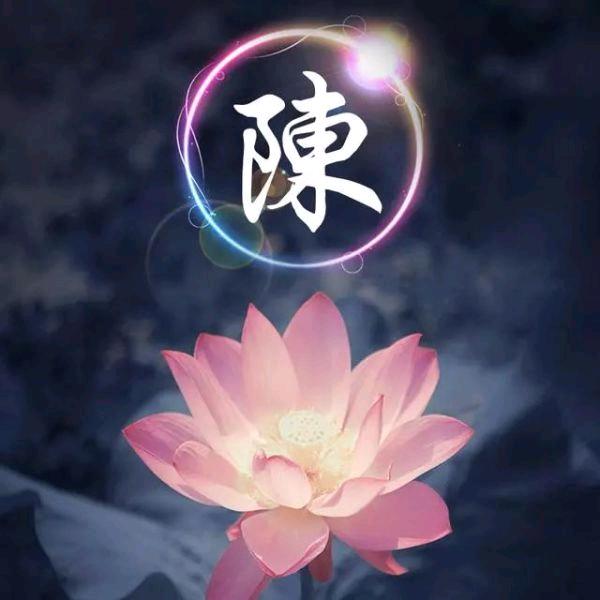青春(｡>∀<｡)永驻