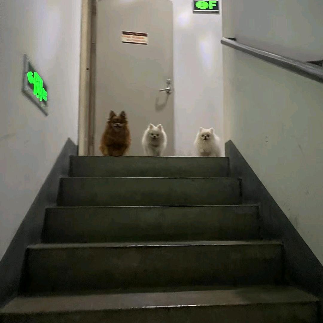 执手并肩