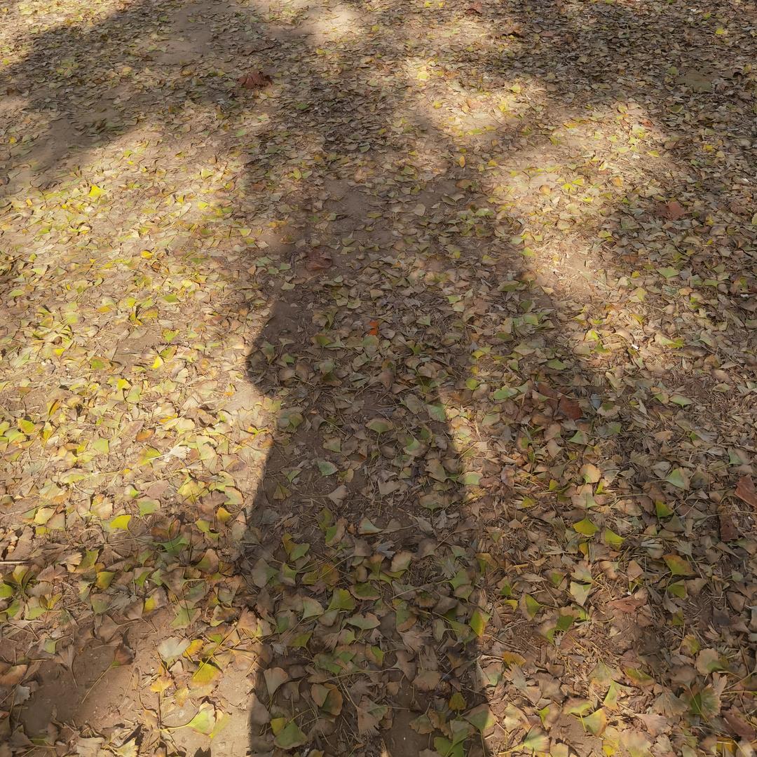 寂寥丶