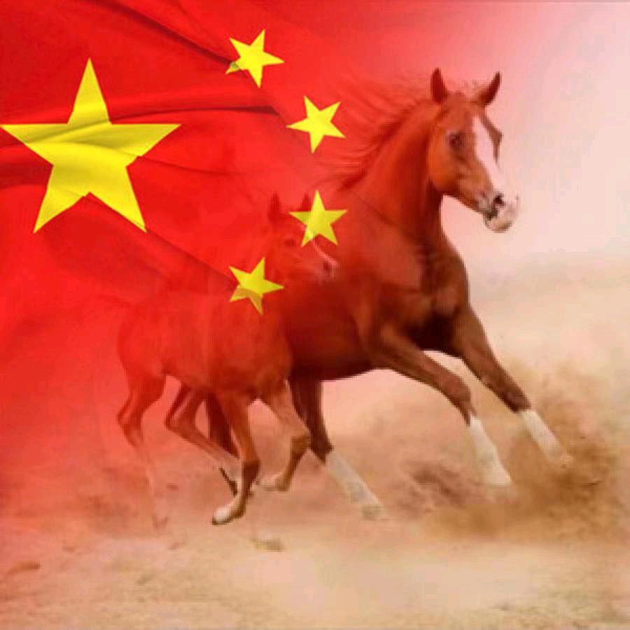 马到成功！
