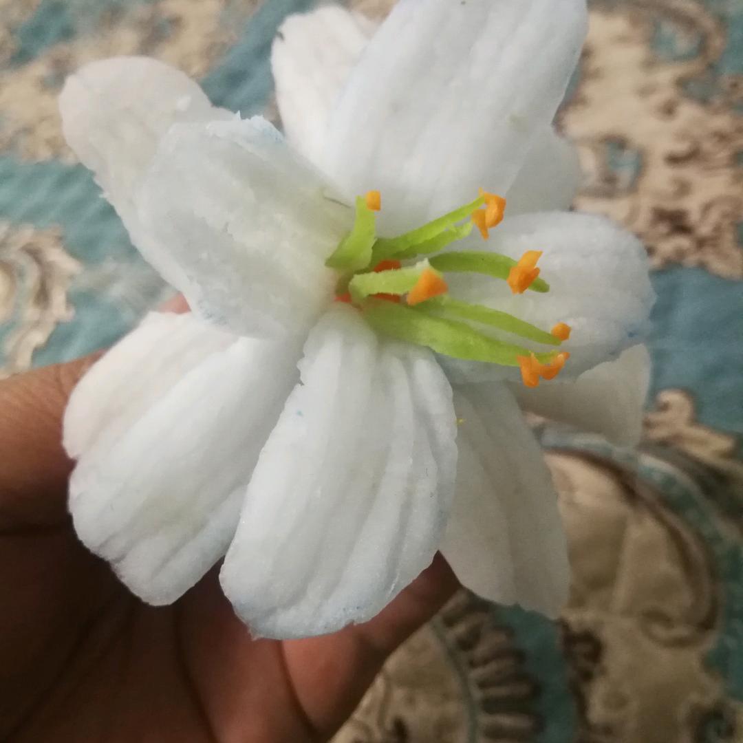 胸怀