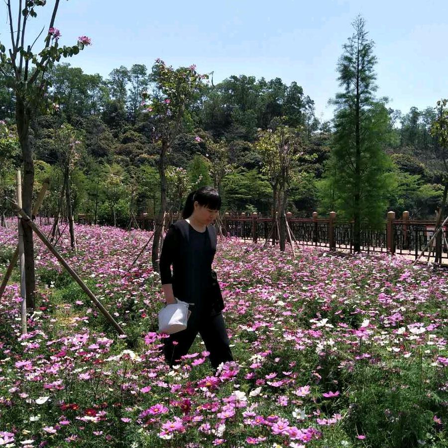 侯子姐