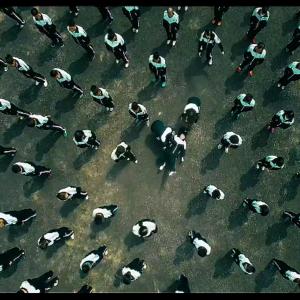 骑电摩环游世界