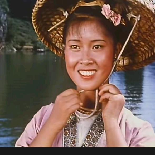 刘三姐三角梅