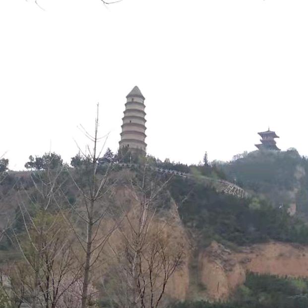 老革命