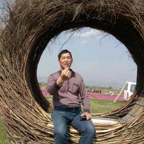 洪小卫，