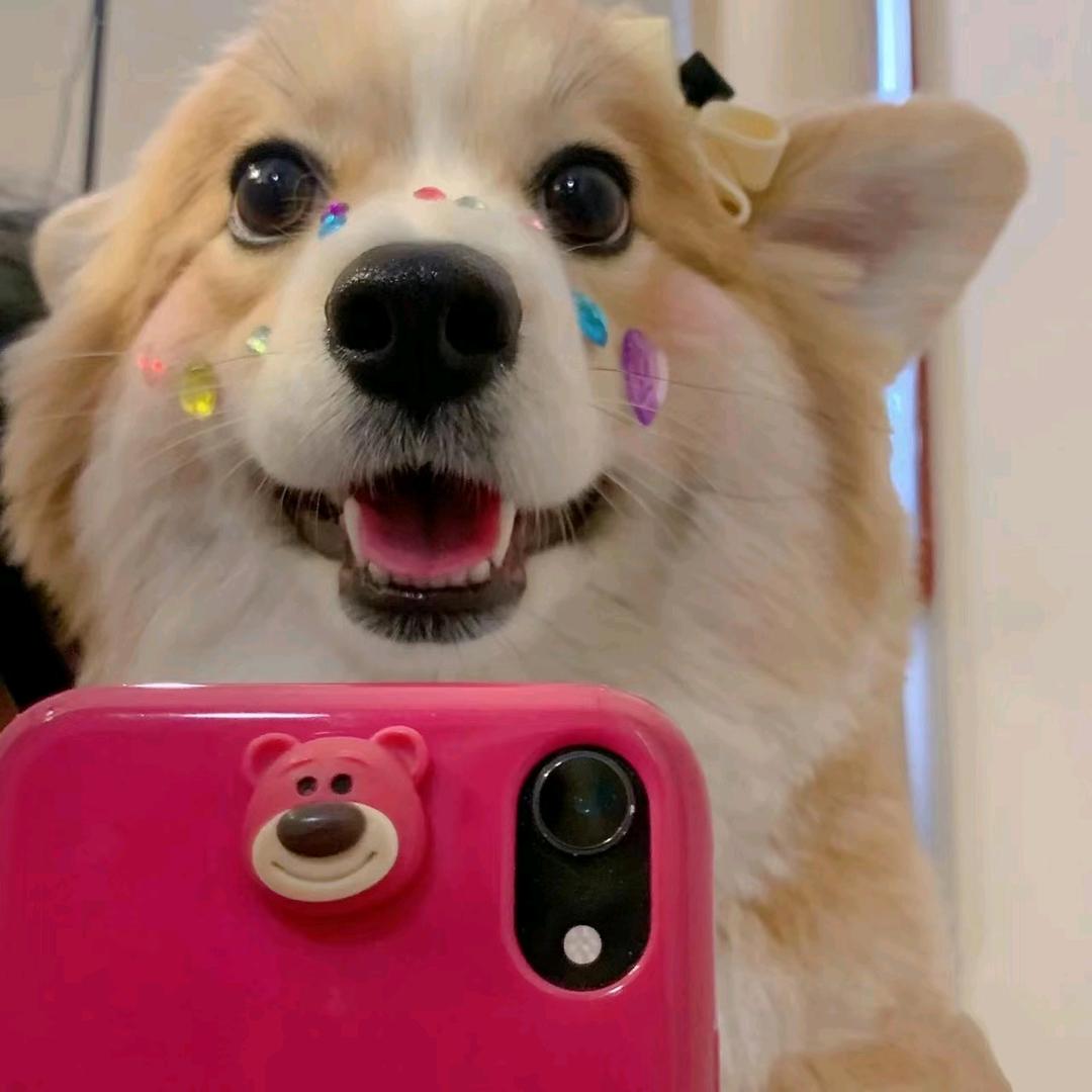 sjh