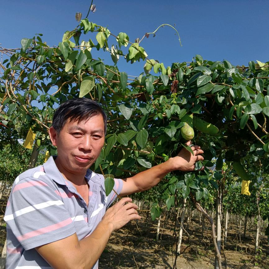 李林园艺