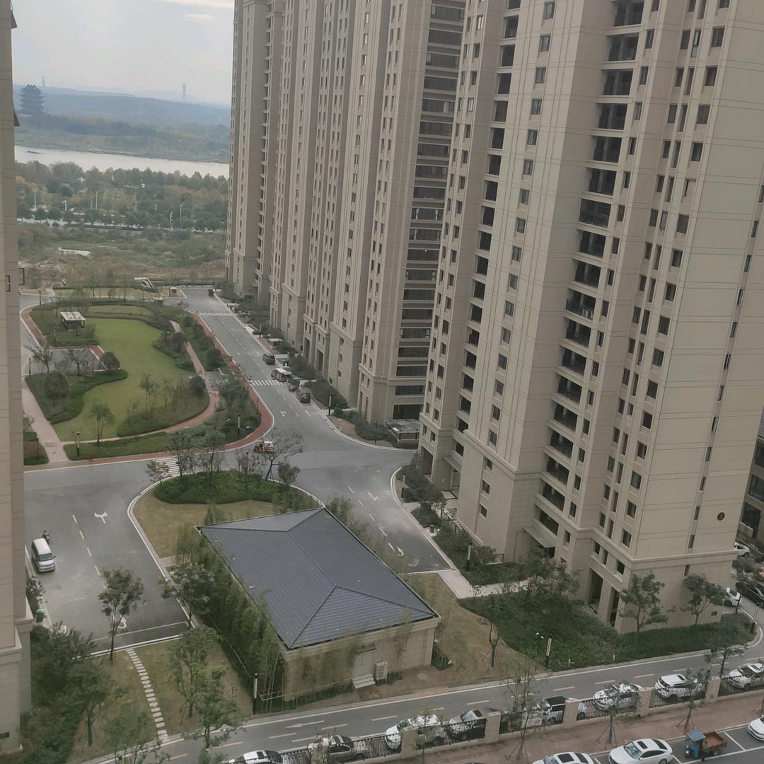 老焦