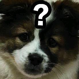 络暖