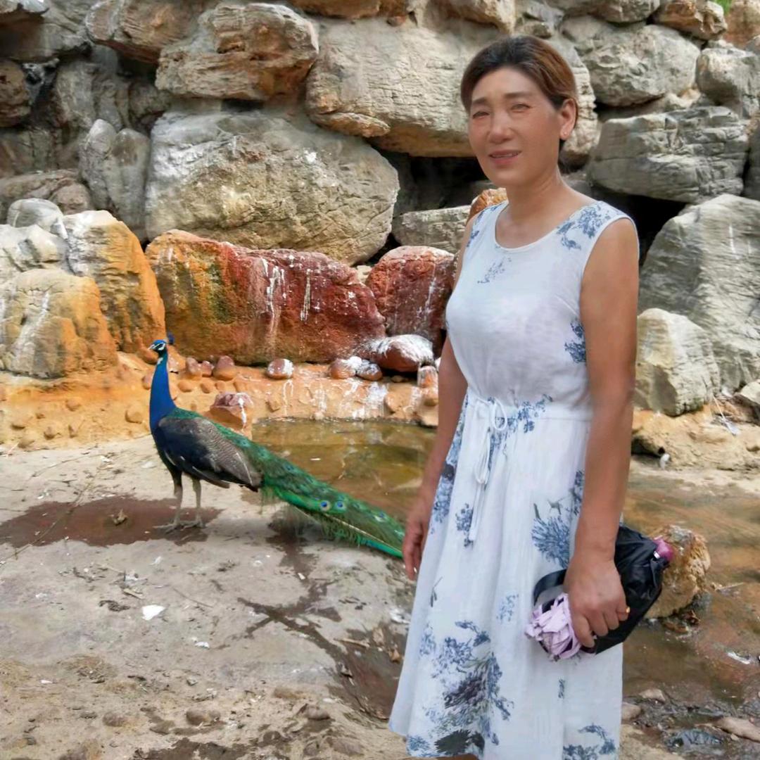 杨荣蓉