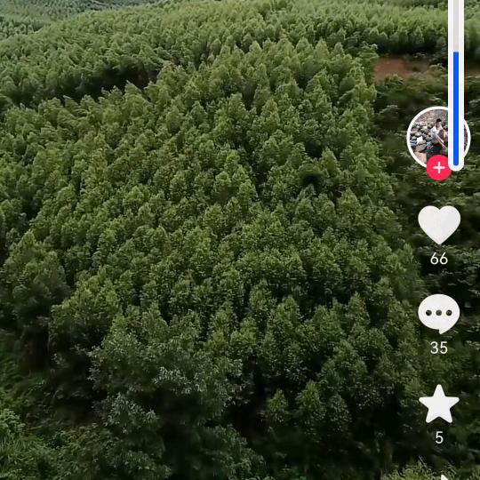 花云
