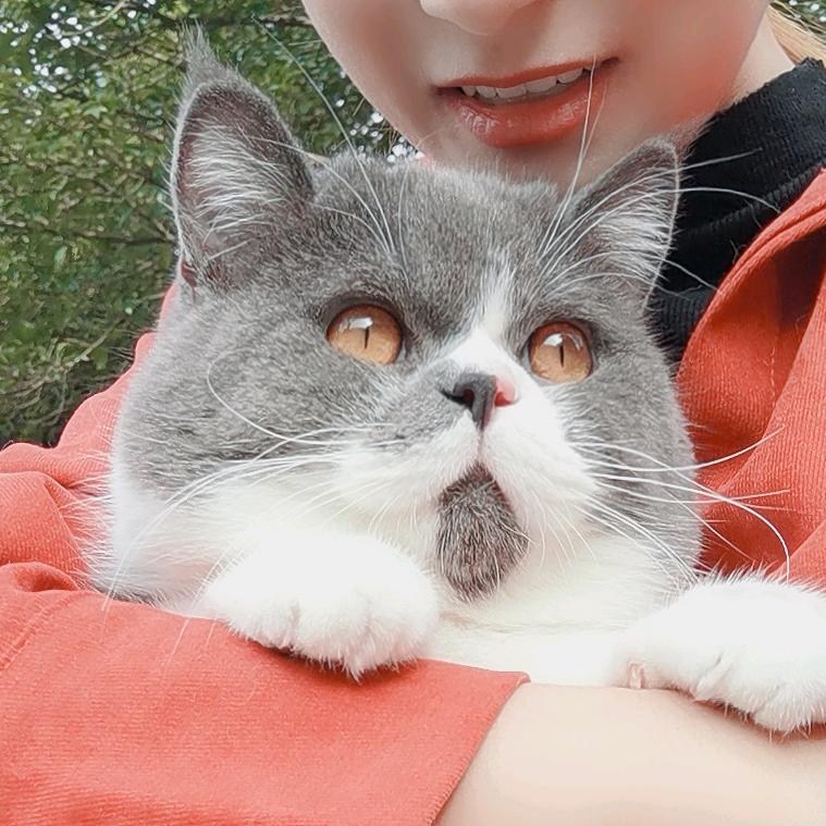 执迷不悟。
