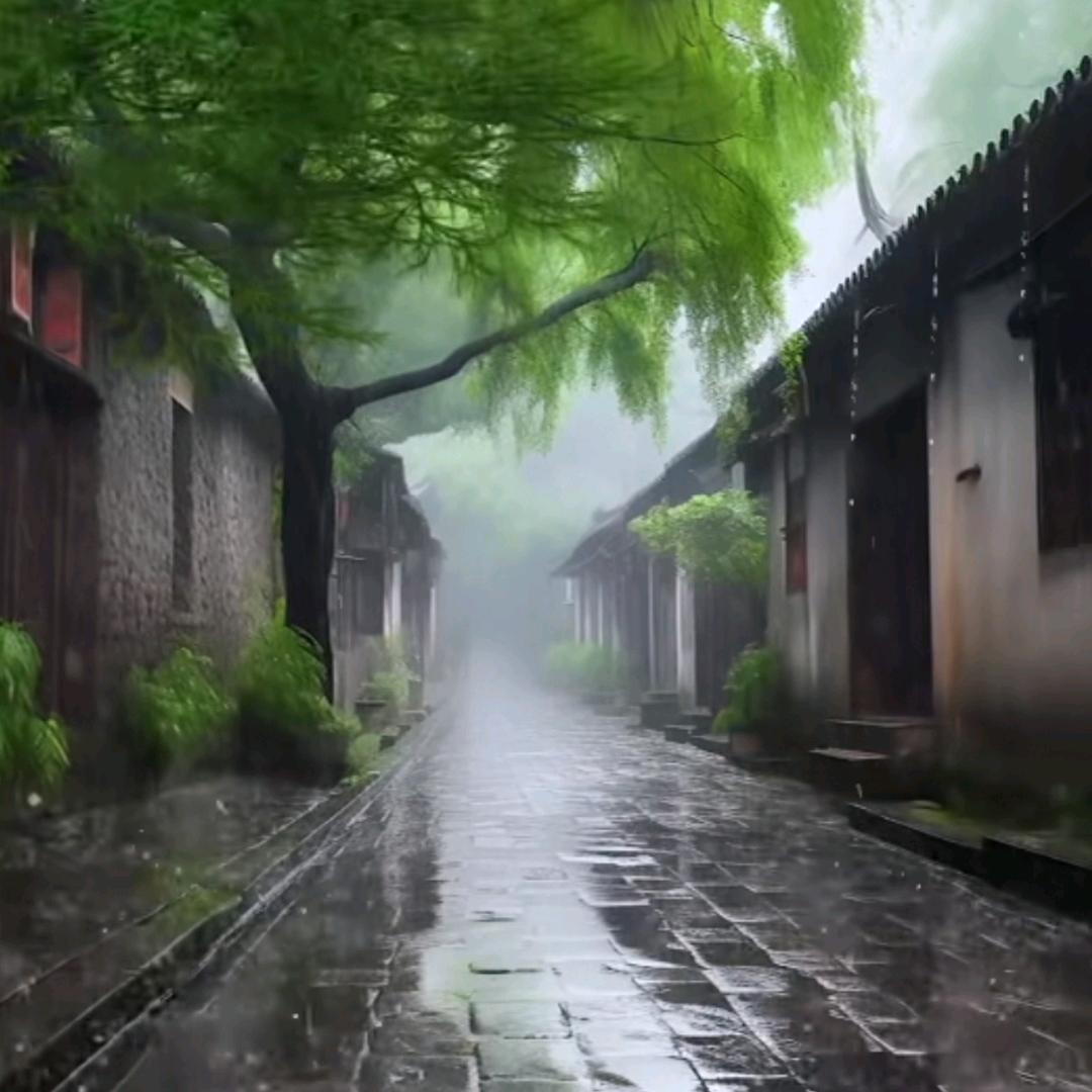 朝花、惜时