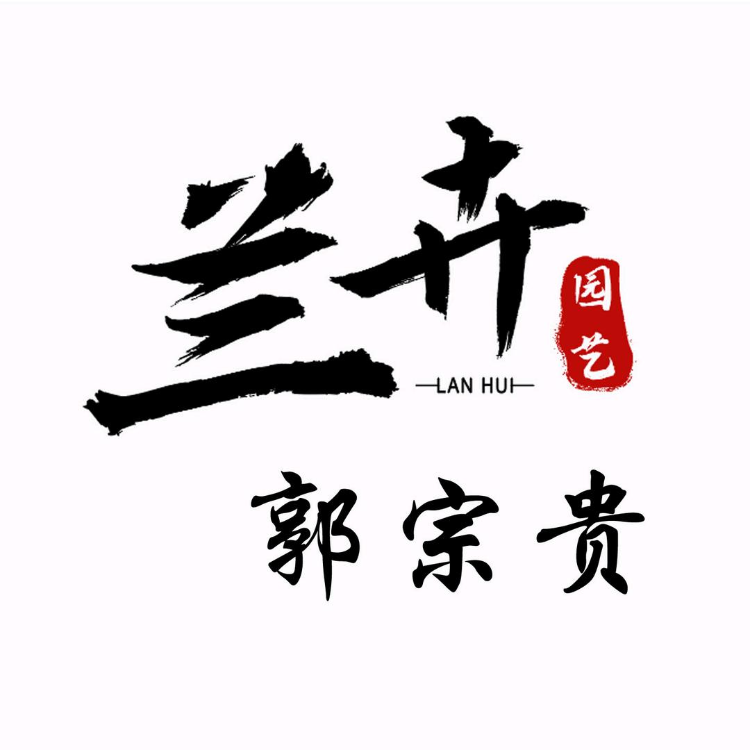 广州兰卉园艺