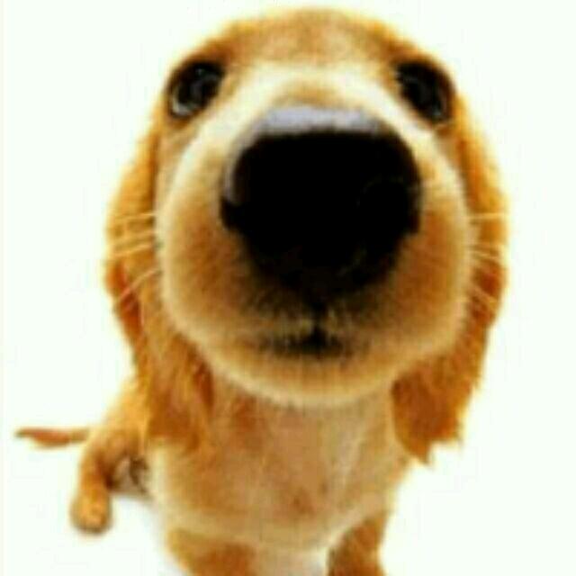 130