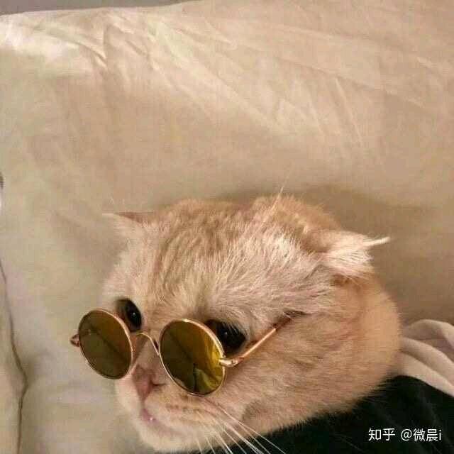 ～🌈澜朋友🌈