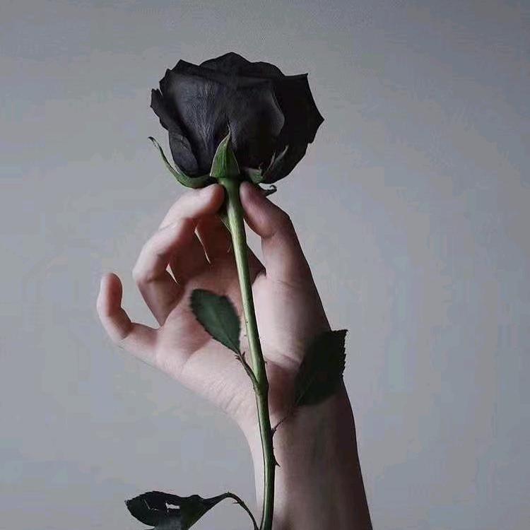 @raziya 分享
