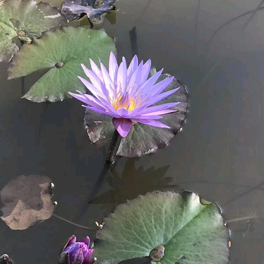 邦宇百货