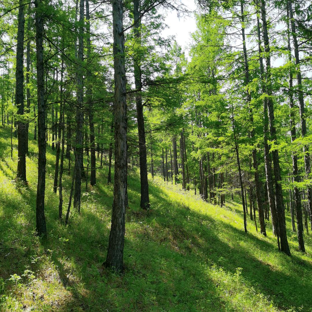 专业工程防水，环氧地坪漆施工。