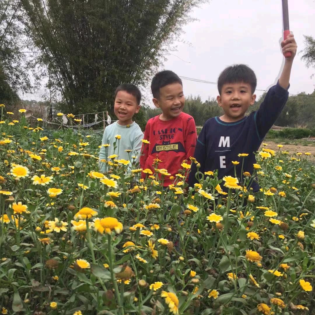 简单