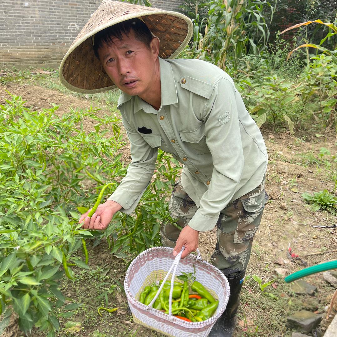 农村三哥