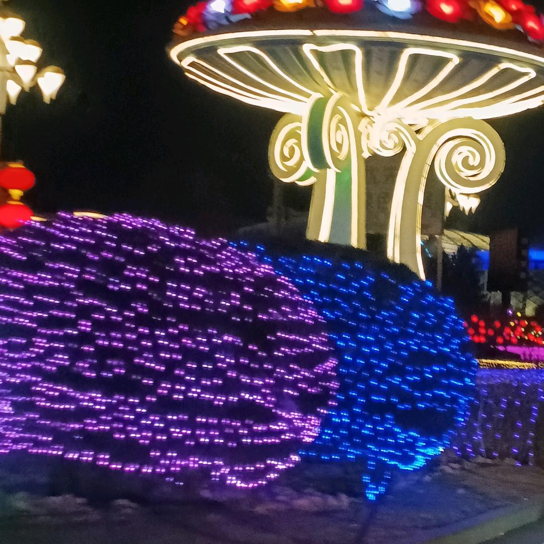 好好喜欢（勿连赞）👌👌👌