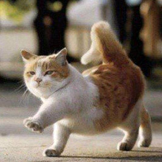 铃儿响叮当当当当