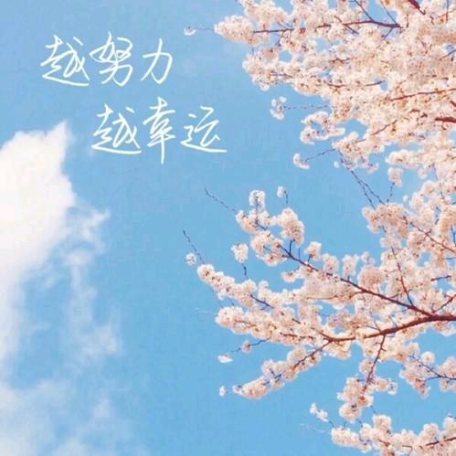 喜·爱分享