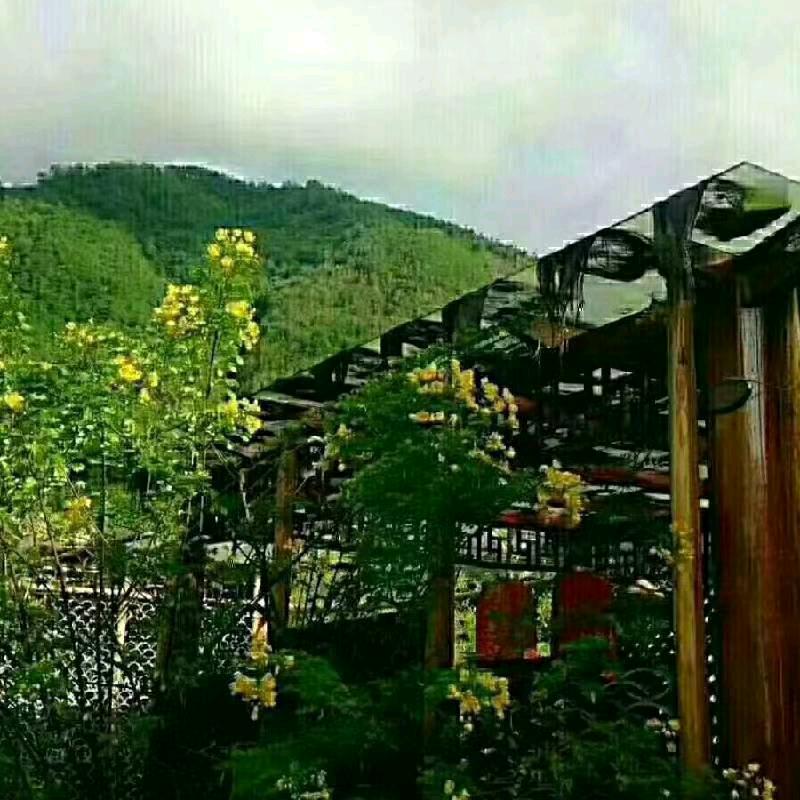 烈火
