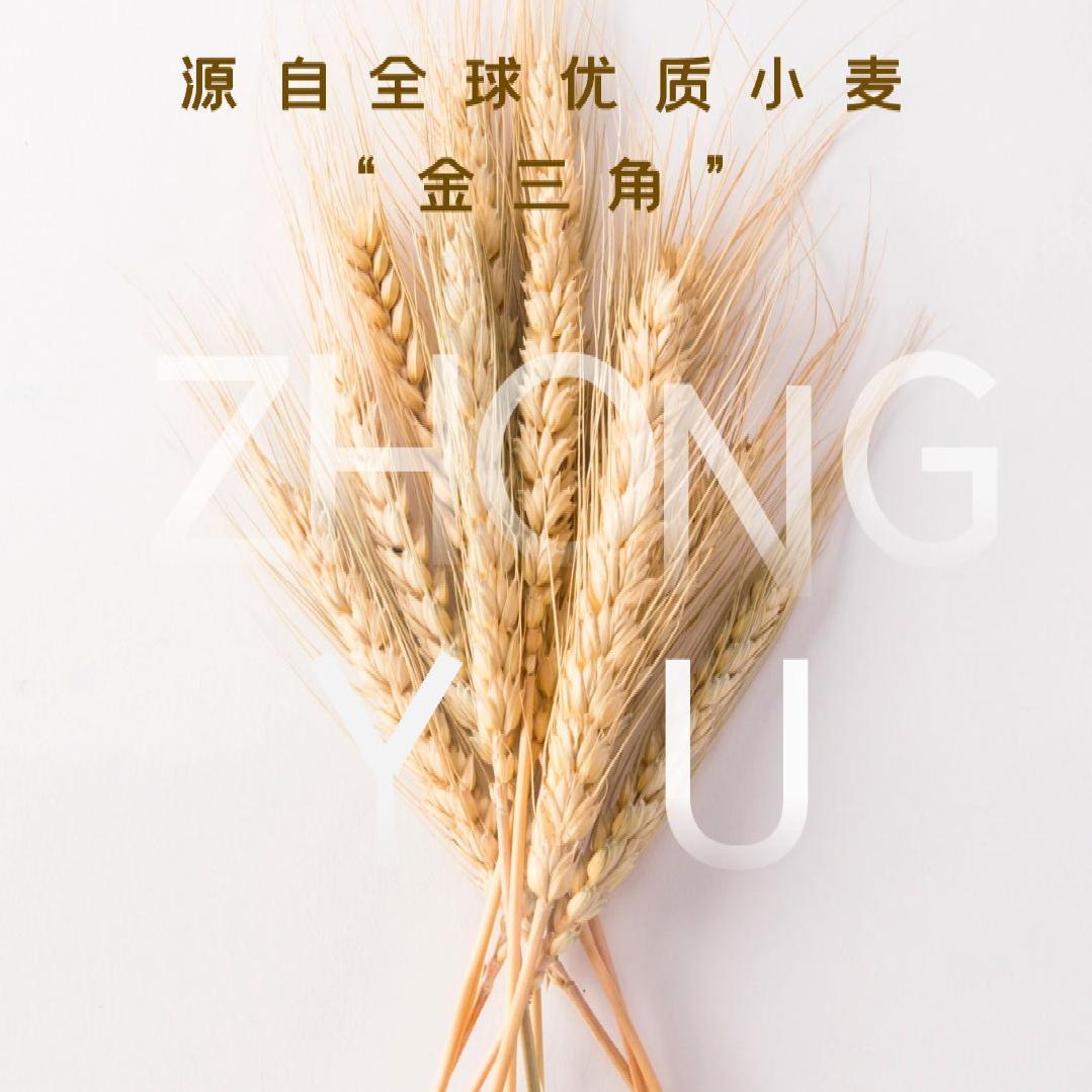 阳光123
