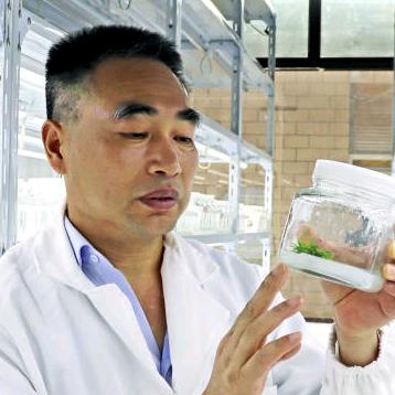 果之王研究院陈贵虎