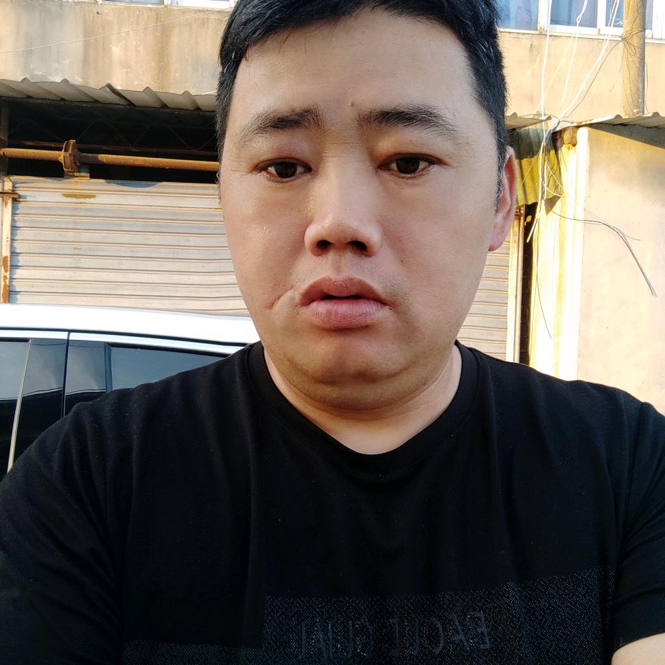 自由飞翔