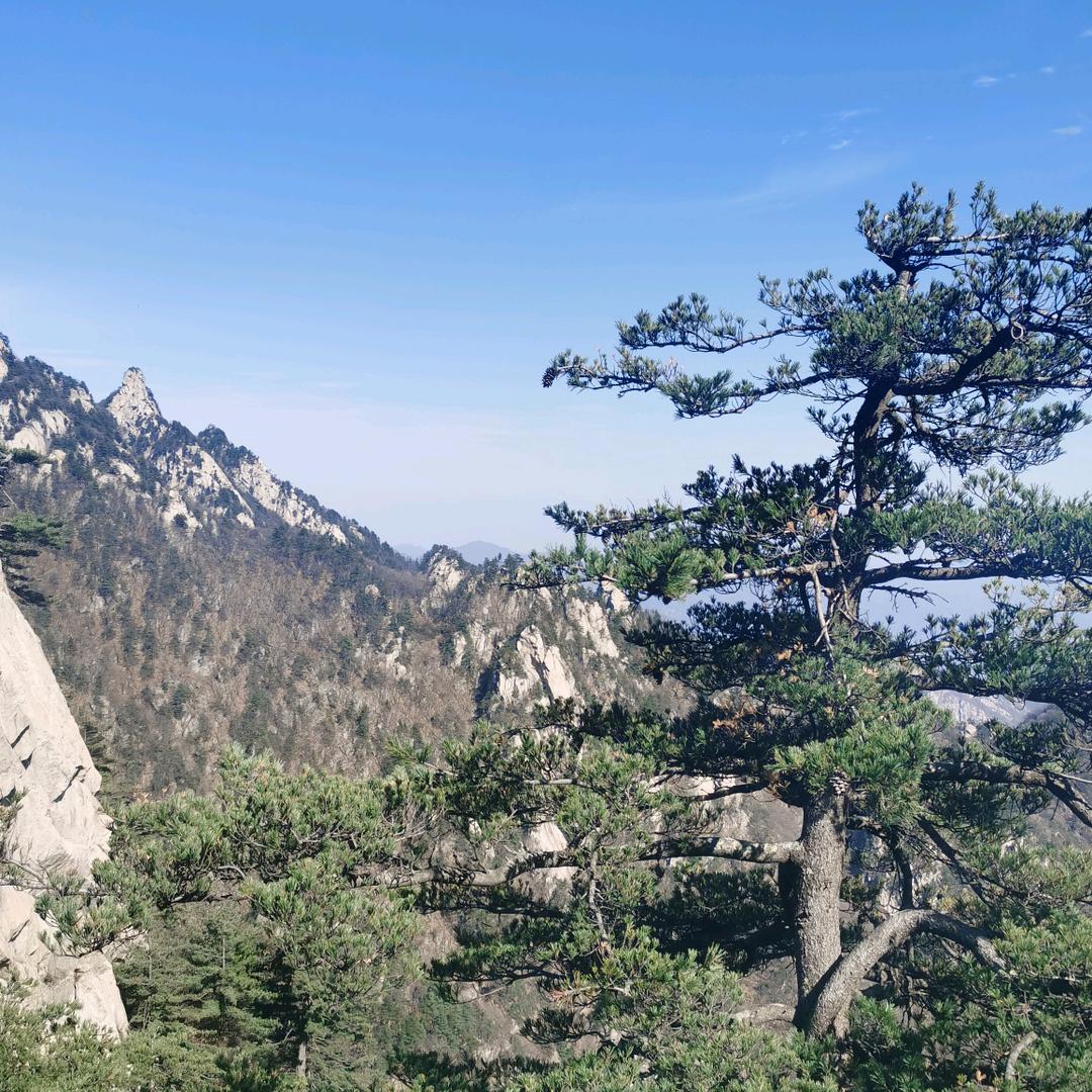 马到成功