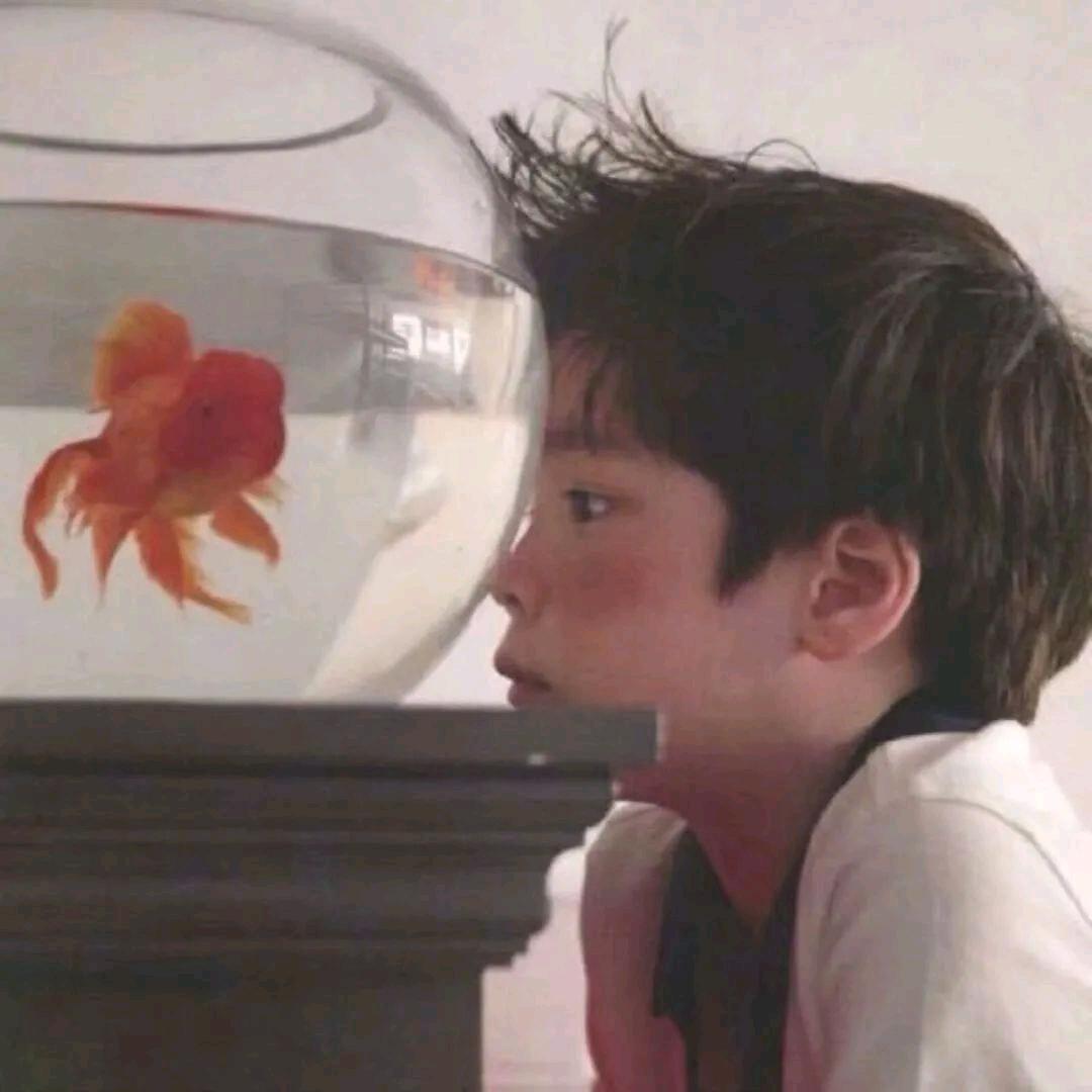 葡萄改的了