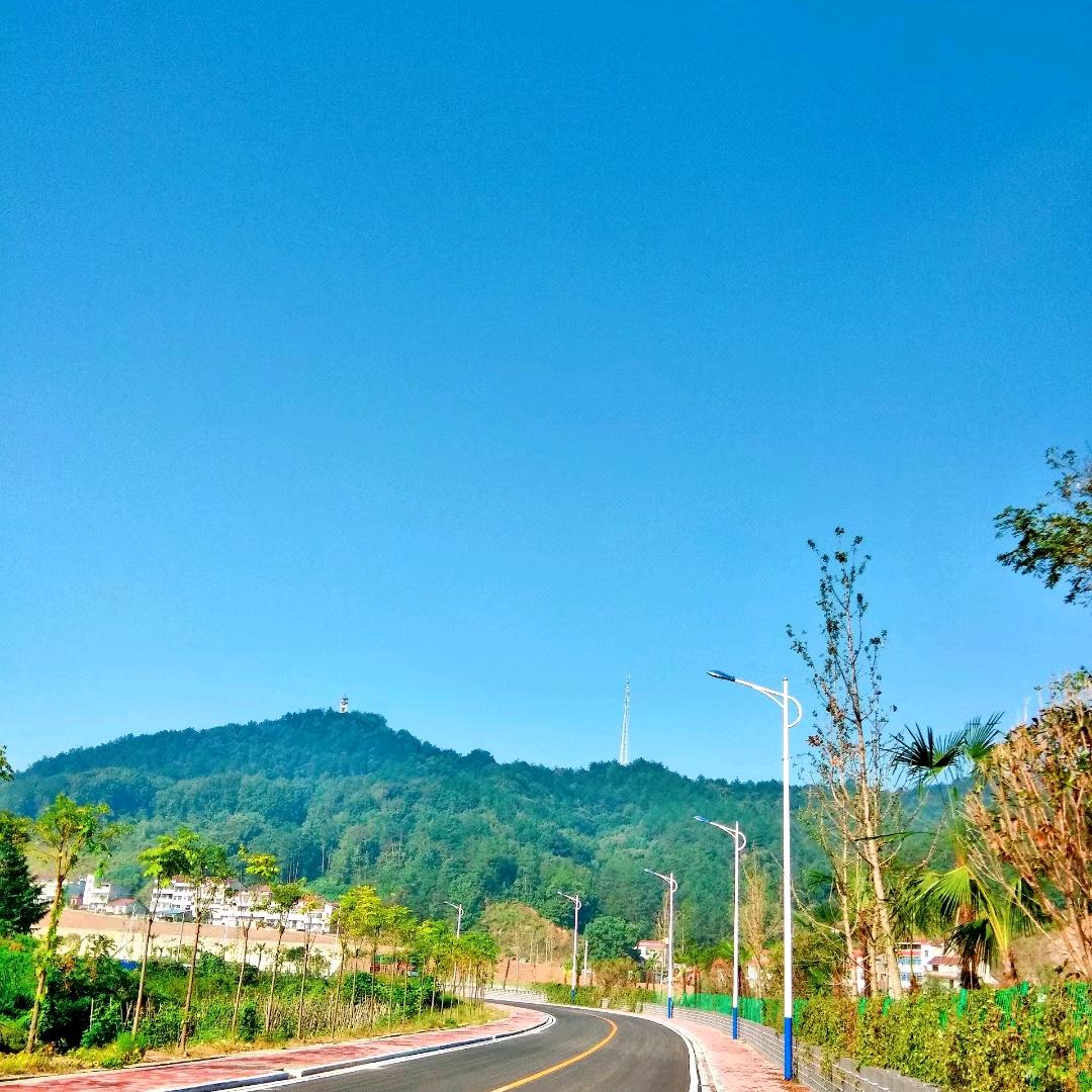 大宝哥（跑互）
