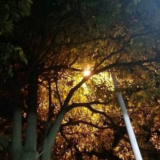 泅渡