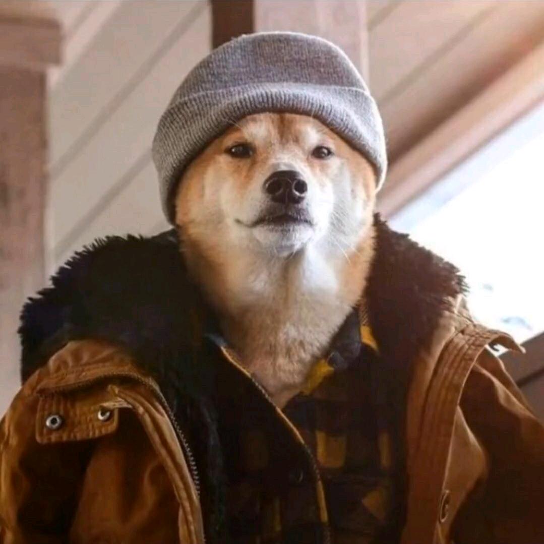 啊鱼的摄影日记