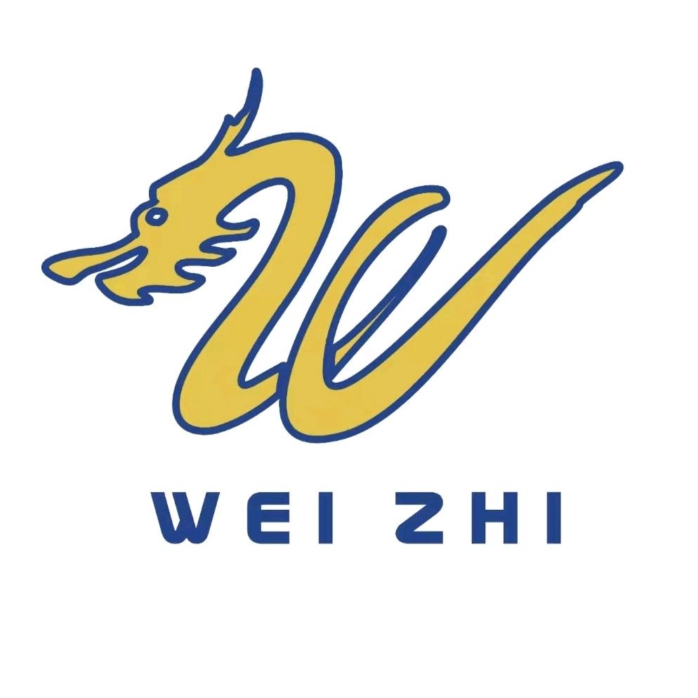 伟智服饰