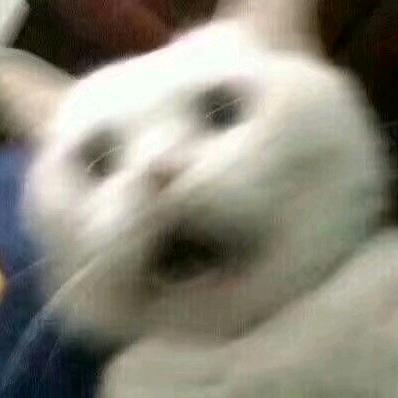 ╰😒╮