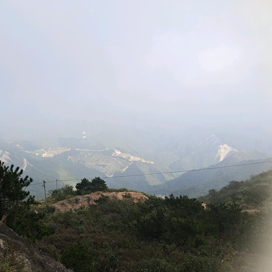零下心跳