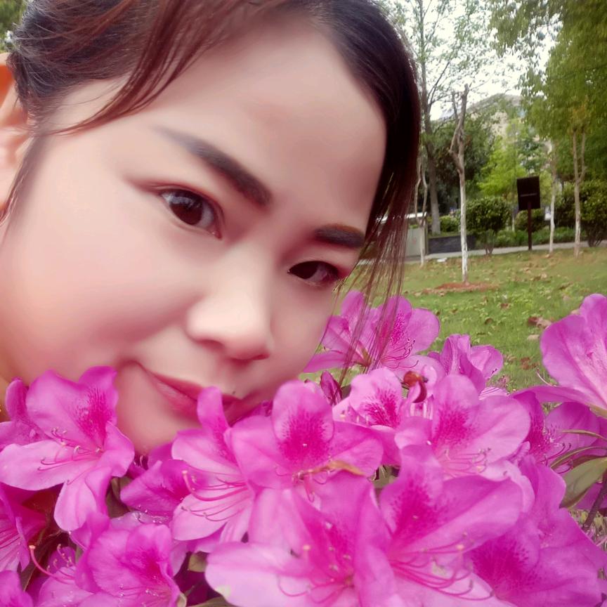 李事事如意